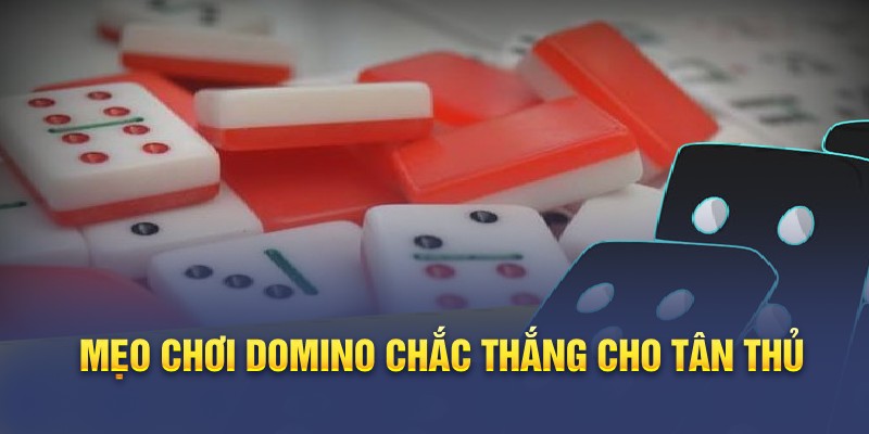 Mẹo chơi Domino chắc thắng cho tân thủ