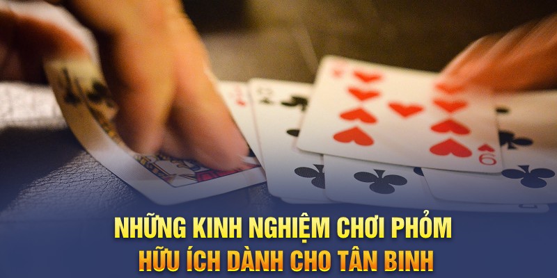 Những kinh nghiệm chơi phỏm hữu ích dành cho tân binh